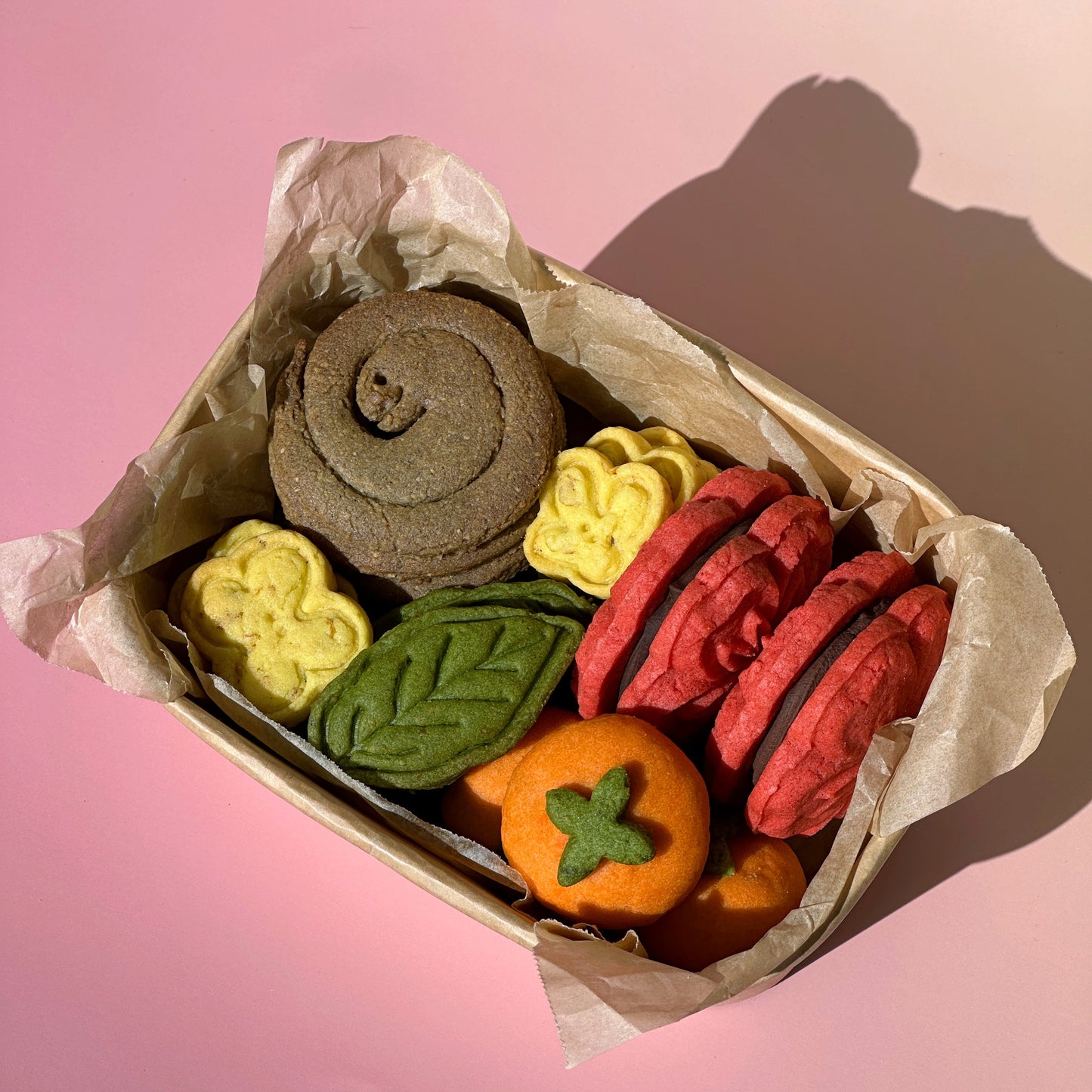 Snake Cookie box